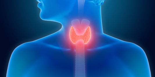 Endocrine Disruptors in Tap Water